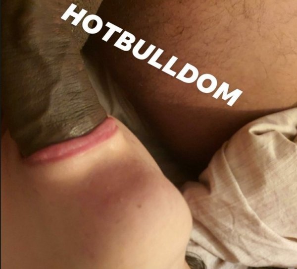 HOTBULLDOM__.jpg